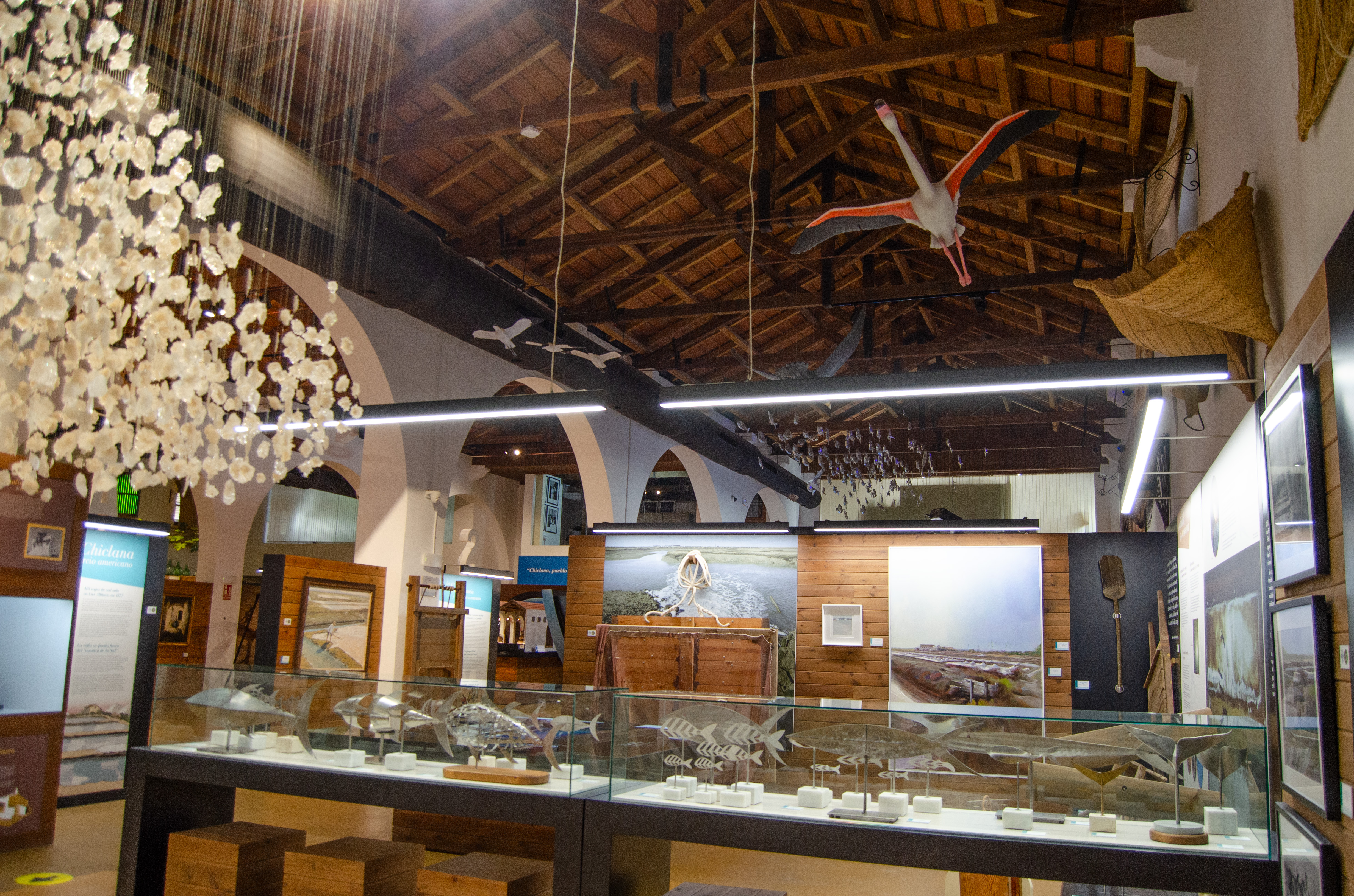 sala la sal