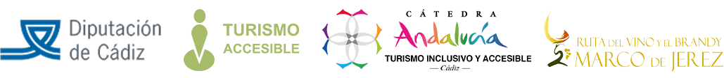 logo accesibilidad logo accesibilidad
